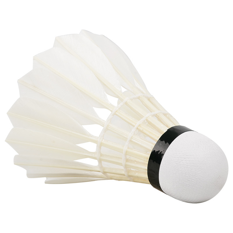 Yeni 12 adet profesyonel Badmi - Badminton Victor incelemesi ve fiyatı