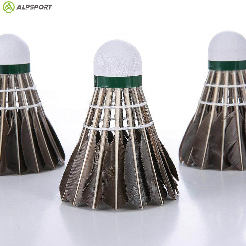 ALP 806 Badminton Raketle 12 A - Badminton Victor incelemesi ve fiyatı
